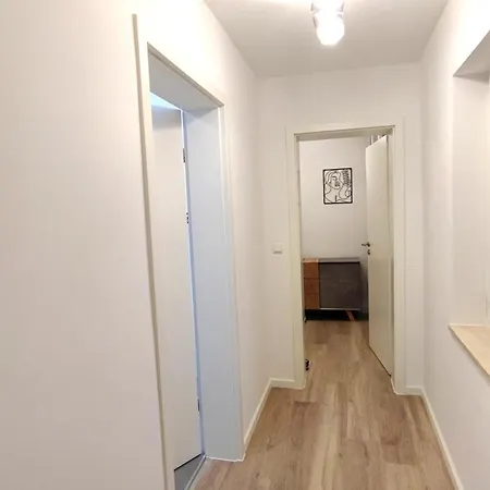 Homely - Urban Oasis